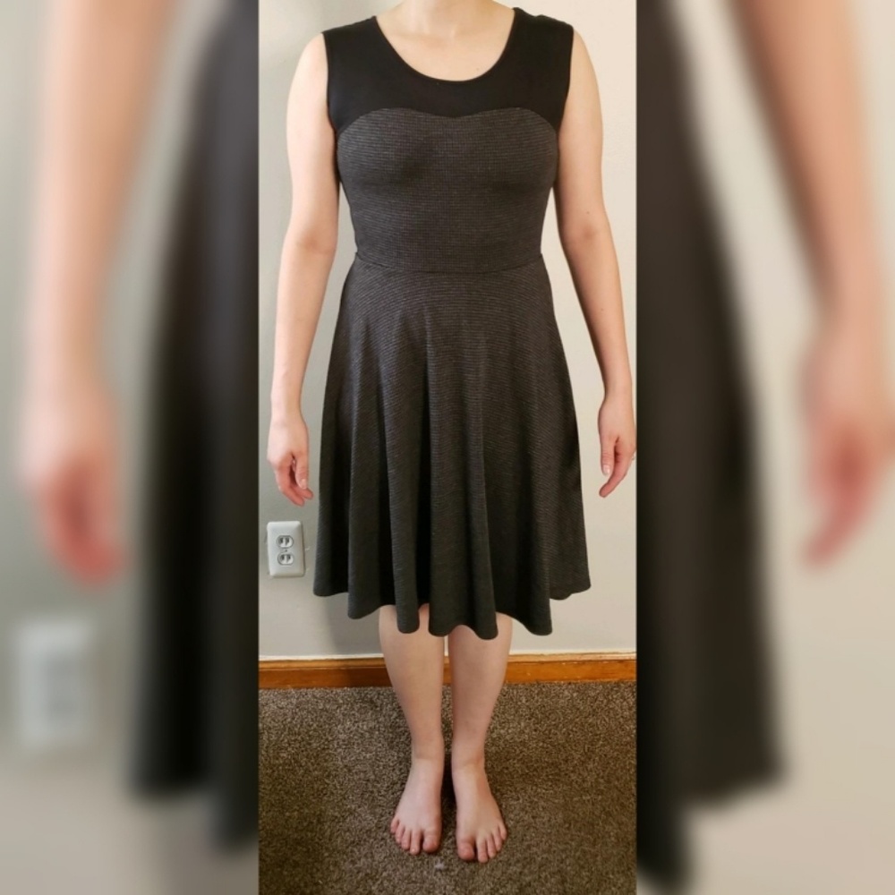 The Limited Dress